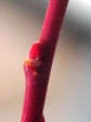 szk080217 026.01.jpg