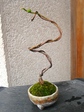 szk080217 034.01.jpg