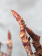 szk080217 041.01.jpg