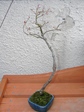 szk080217 043.01.jpg