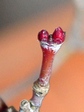 szk080217 046.01.jpg