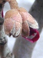 szk080219 007.01.jpg