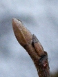 szk080219 008.01.jpg