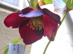 szk080219 011.01.jpg