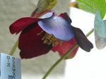 szk080219 016.01.jpg
