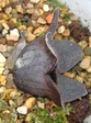 szk080219 021.01.jpg