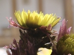 szk080221 020.01.jpg