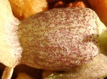 szk080221 033.01.jpg