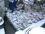 szk080224 002.01.jpg