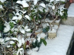 szk080224 004.01.jpg