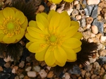 szk080224 006.01.jpg