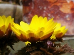 szk080224 007.01.jpg