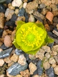 szk080224 013.01.jpg