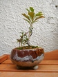 szk080224 018.01.jpg