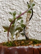szk080224 019.01.jpg