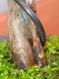 szk080225 008.01.jpg