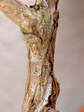 szk080225 014.01.jpg