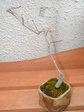 szk080225 018.01.jpg