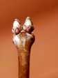 szk080225 021.01.jpg