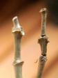 szk080225 026.01.jpg