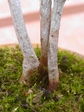 szk080225 029.01.jpg