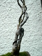 szk080226 004.01.jpg
