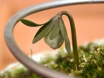 szk080227 007.01.jpg