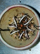 szk080302 007.01.jpg