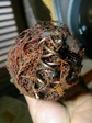 szk080302 008.01.jpg