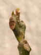 szk080302 036.01.jpg