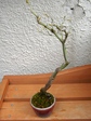 szk080302 041.01.jpg