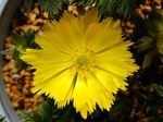 szk080307 001.01.jpg