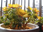 szk080307 007.01.jpg