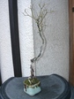 szk080307 018.01.jpg