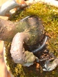 szk080309 026.01.jpg