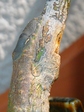 szk080309 030.01.jpg