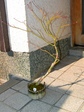 szk080309 034.01.jpg