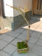szk080309 061.01.jpg