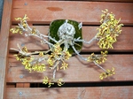 szk080311 003.01.jpg