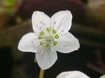szk080311 004.01.jpg
