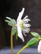 szk080311 005.01.jpg