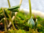 szk080311 009.01.jpg