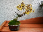 szk080311 013.01.jpg