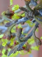 szk080311 021.01.jpg