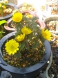 szk080311 057.01.jpg