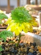 szk080311 067.01.jpg