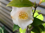 szk080316 005.01.jpg