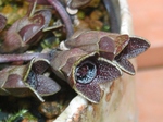 szk080316 022.01.jpg