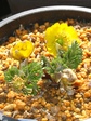szk080316 040.01.jpg
