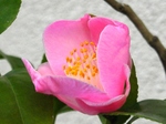 szk080317 009.01.jpg